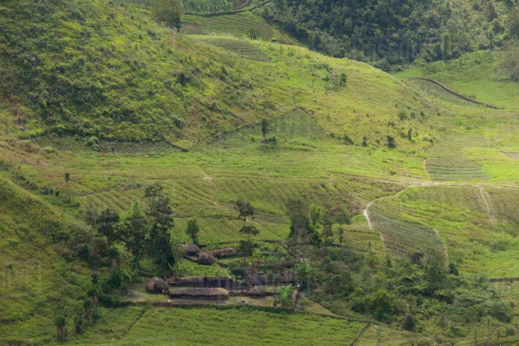 Baliem Valley | Hello Papua