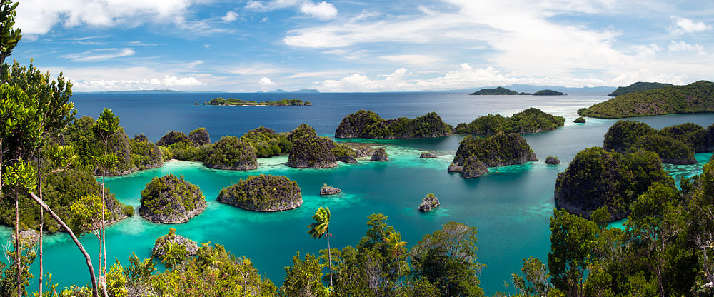 The Iconic Karst Islands Raja Ampat Papua